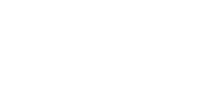 Parceiro 1